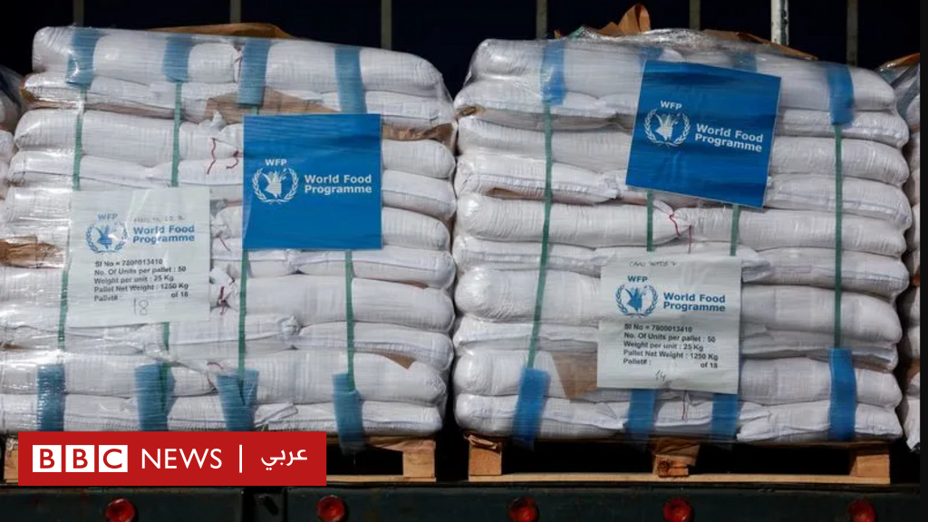 حرب غزة: دخول 90 شاحنة مُحمّلة بالمساعدات إلى القطاع، وتحذيرات من أن ”نصف مليون نسمة معرّضون للموت جوعاً” - BBC News عربي