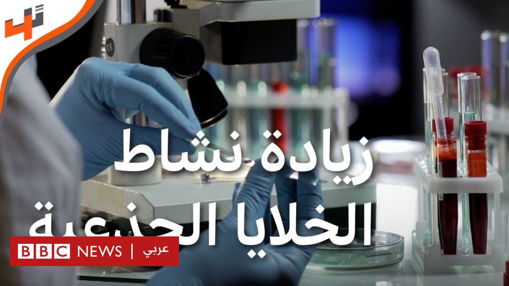 جامعة كامبريدج: زيادة فعالية الخلايا الجذعية في المختبر - BBC News عربي