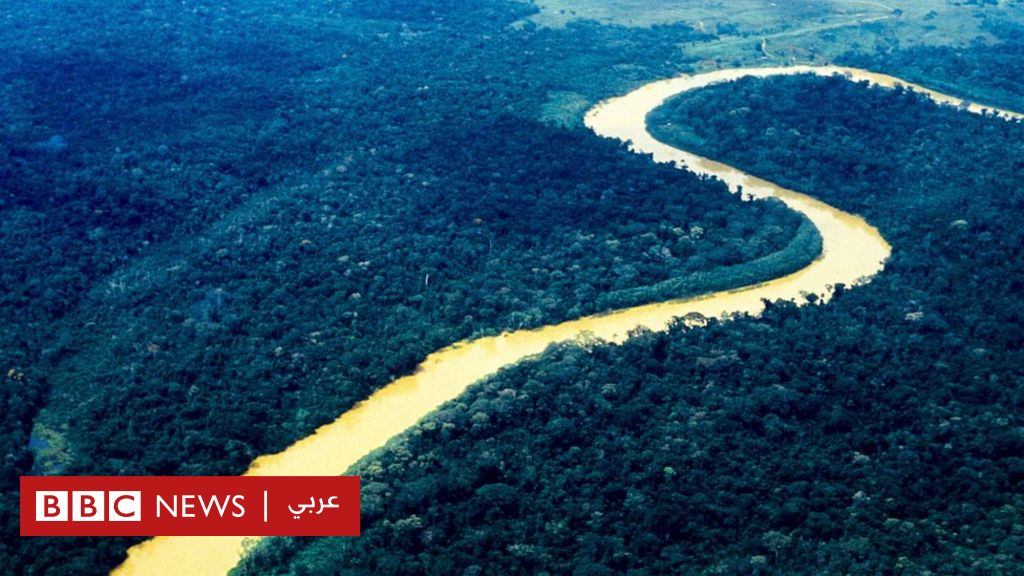 هل منطقة الأمازون رئة الأرض أم قلبها وما سر الأنهار الطائرة فيها