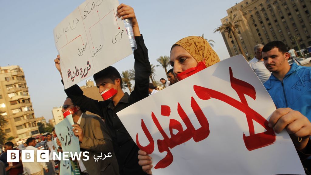 رحلة مصطلح فلول النظام من مصر إلى سوريا