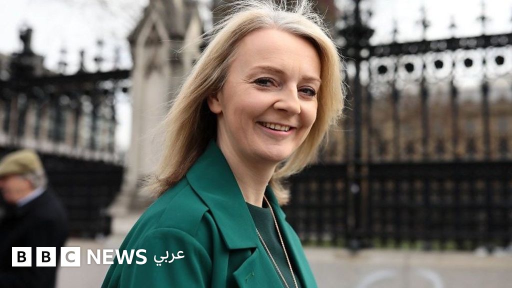  bbc news 