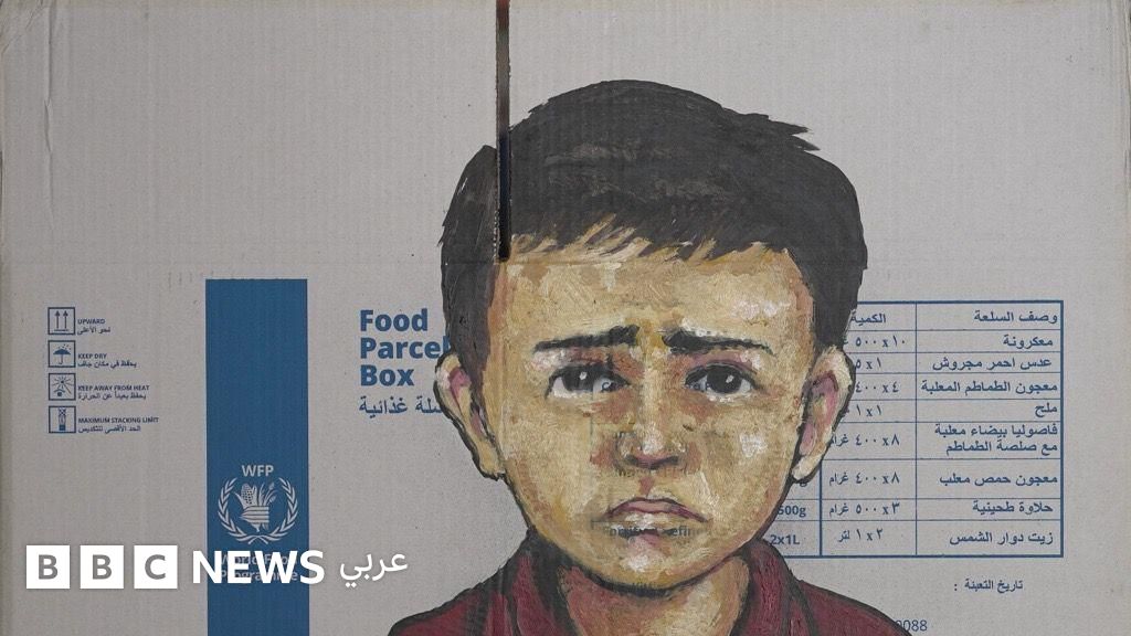 حرب غزة: فنان يرسم على طرود المساعدات، كيف جاءت الفكرة؟ - BBC News عربي