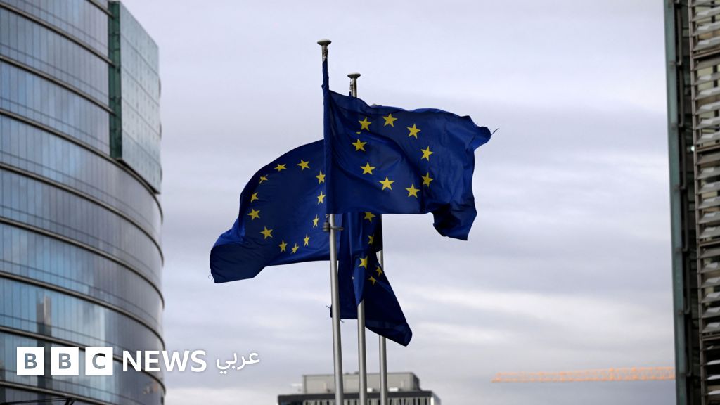 مفوضة أوروبية ترفض إرغام اللاجئين السوريين على العودة، وتؤكد أهمية استقرار الشرق الأوسط لازدهار الاتحاد الأوروبي - BBC News عربي