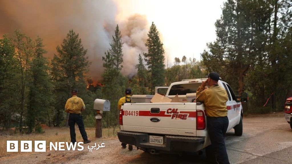 درجات الحرارة: ولاية كاليفورنيا تعلن حالة الطوارئ لمواجهة حريق الغابات الأكبر في الولايات المتحدة - BBC Arabic