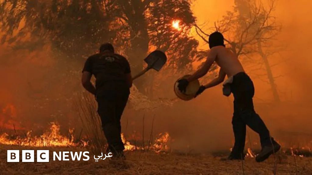 ماذا نعرف عن الحرائق التي تلتهم غابات في اليونان؟ - BBC News عربي