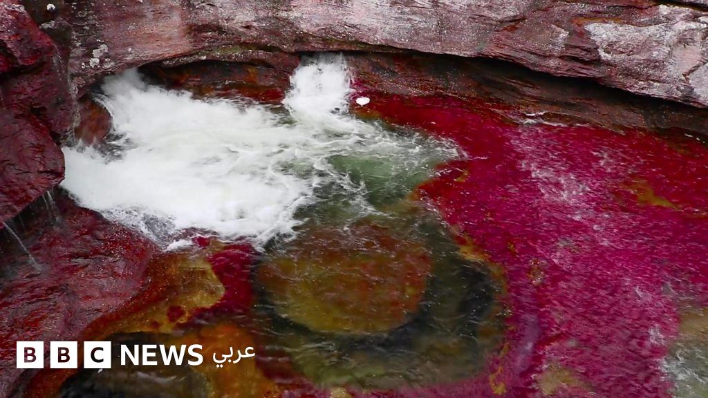 بالصور أجمل عشر أنهار في العالم