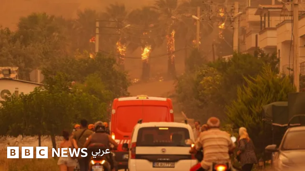 حرائق الغابات تشعل الجدل على منصات التواصل الاجتماعي في سوريا وتركيا
