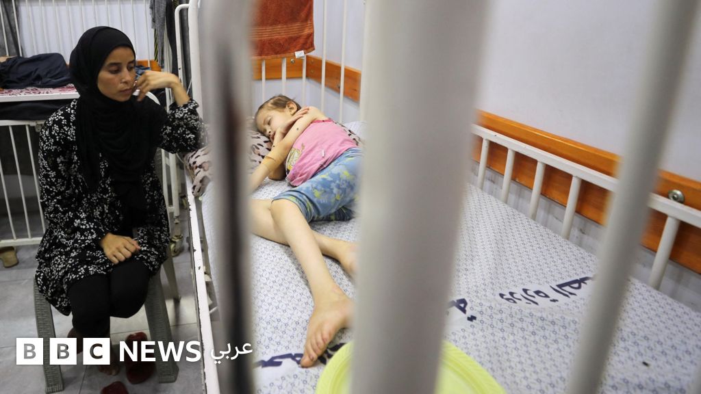 حرب غزة: دونالد ترامب يتعهد بخطة إنسانية لغزة، وويتكوف يصل إلى ساحة أهالي الرهائن في تل أبيب - BBC News عربي