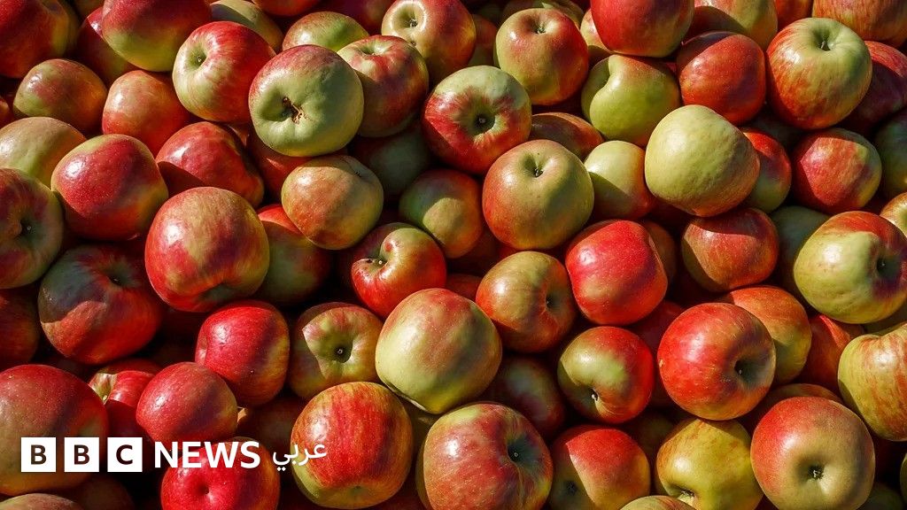 هل تناول تفاحة في اليوم مفيد حقّاً لصحتك؟