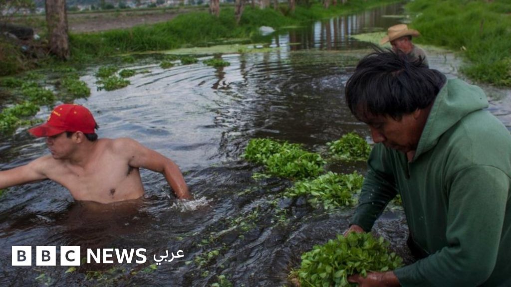 موارد المياه العذبة تنضب في مدينة تغمرها الفيضانات Bbc News عربي