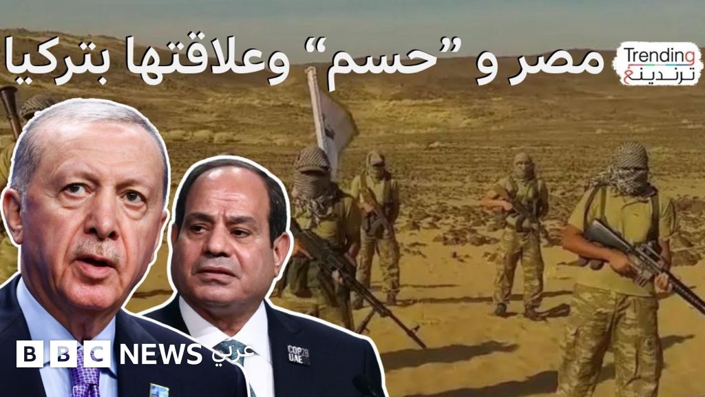 السلطات المصرية تعتقل خلية لحركة حسم والإخوان تنفي ارتباطها بالحركة - BBC News عربي