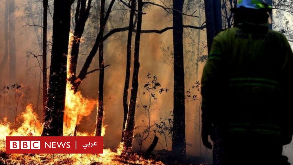 حرائق غابات أستراليا تطوع لإطفاء الحرائق لكنه أشعل مزيدا منها