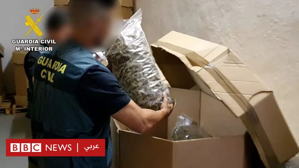 Spain seizes the “largest” amount of cannabis ever