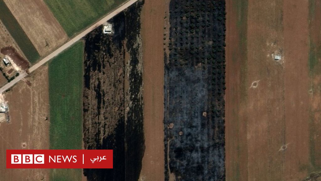 الحرب في سوريا: الجيش  يحرق أراضي زراعية في الشمال الخاضع لسيطرة المعارضة  - BBC News Arabic