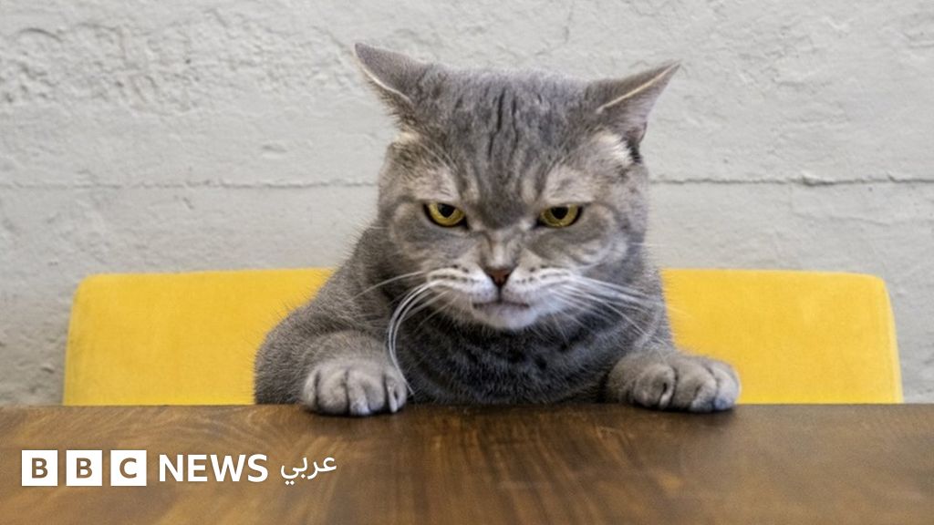 هل بالفعل يمكن أن يكون جيدا أن تغضب؟ هل بالفعل يمكن أن يكون جيدا أن تغضب؟