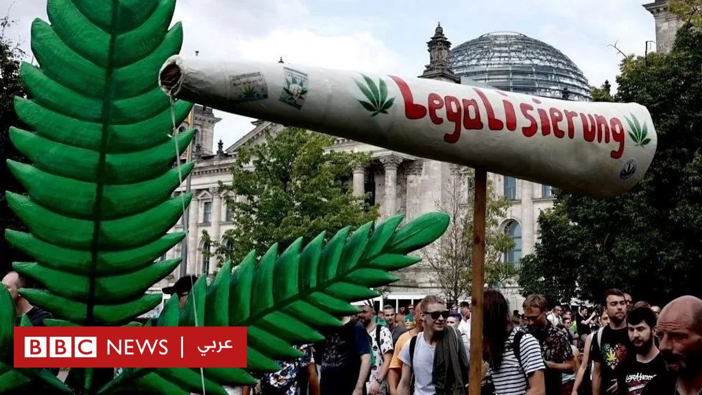 Germany plans to legalize cannabis for entertainment