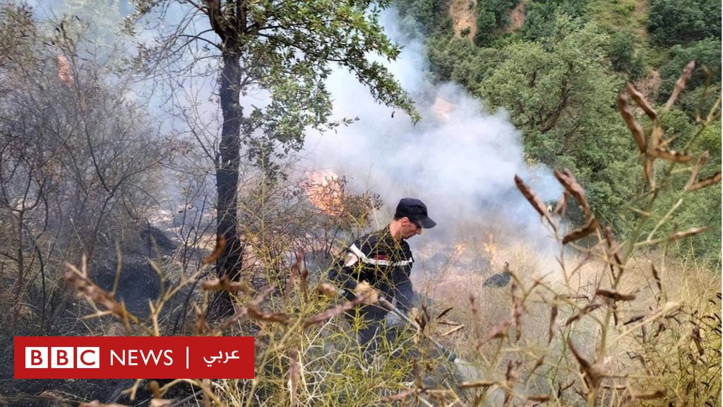 حرائق الغابات في الجزائر تتسبب في وفاة 26 شخصا