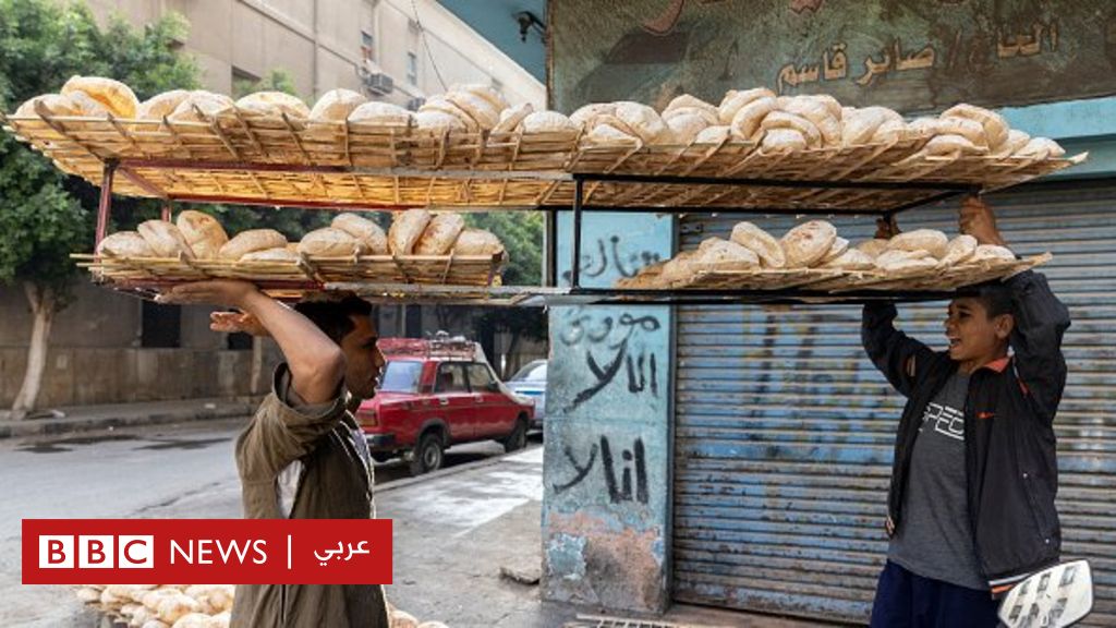 خبز البطاطا: هل يمكن أن يحل مشكلة مصر مع القمح؟