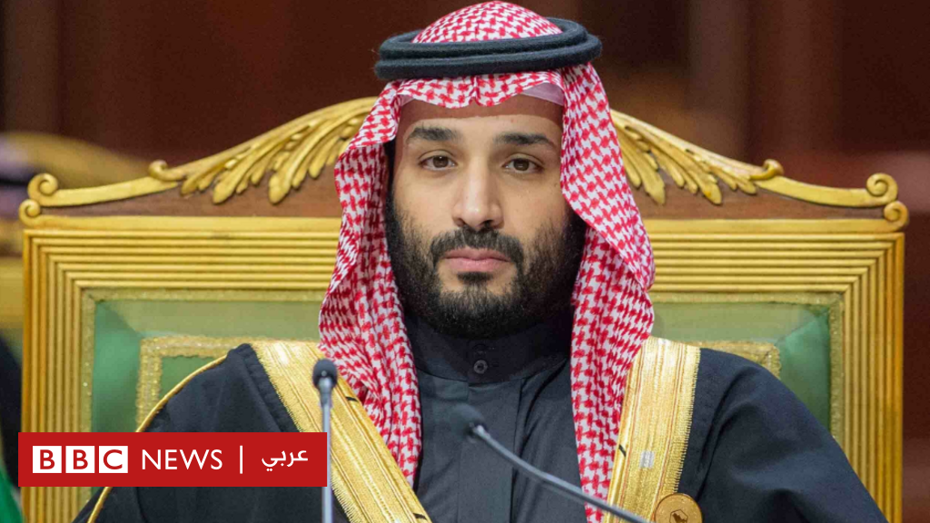 محمد بن سلمان: هيومن رايتس ووتش تنتقد "سيطرة ولي العهد السعودي على صندوق الاستثمارات العامة" في المملكة؟