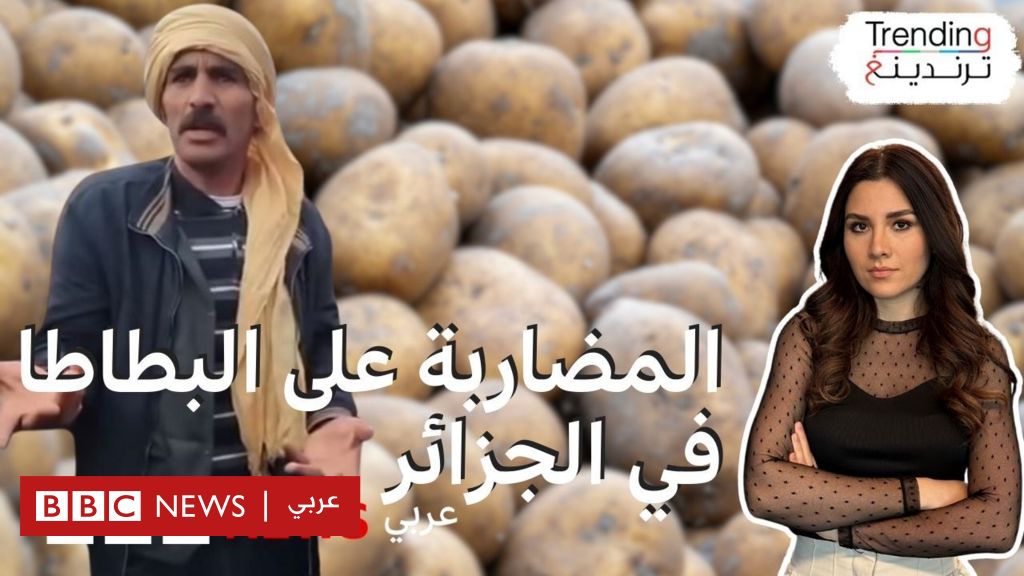 القبض على 4 أشخاص بتهمة التحريض على المضاربة في البطاطا غرب الجزائر