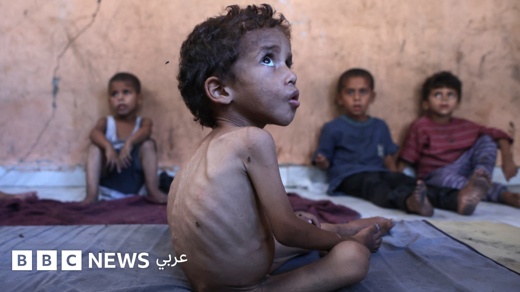 إعلان المجاعة رسمياً في غزة "نقطة لا رجعة منها" - مقال رأي في التلغراف