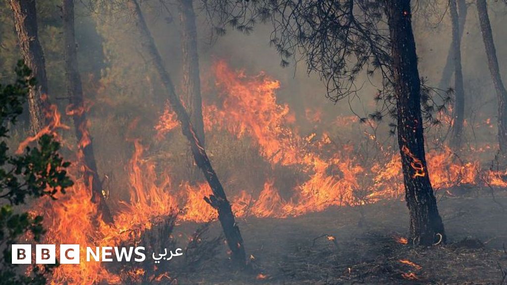 حرائق الغابات في الجزائر تودي بحياة 12 شخصا وإصابة عشرات آخرين