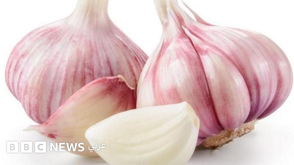 أطعمة مذهلة تساعدك على التخلص من رائحة الثوم