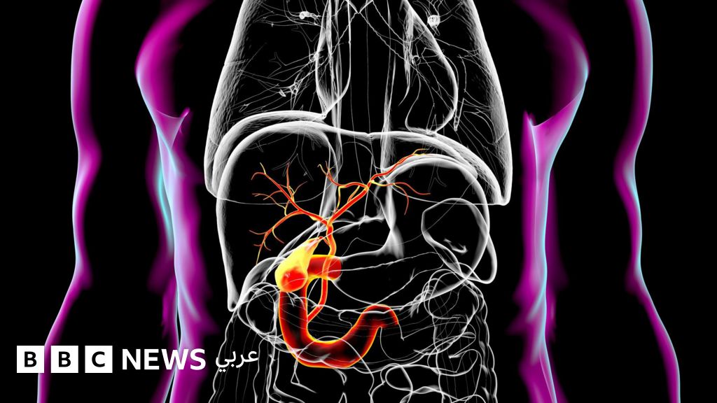 7 حقائق مدهشة عن الأمعاء التي تعتبر "الدماغ الثاني للإنسان"