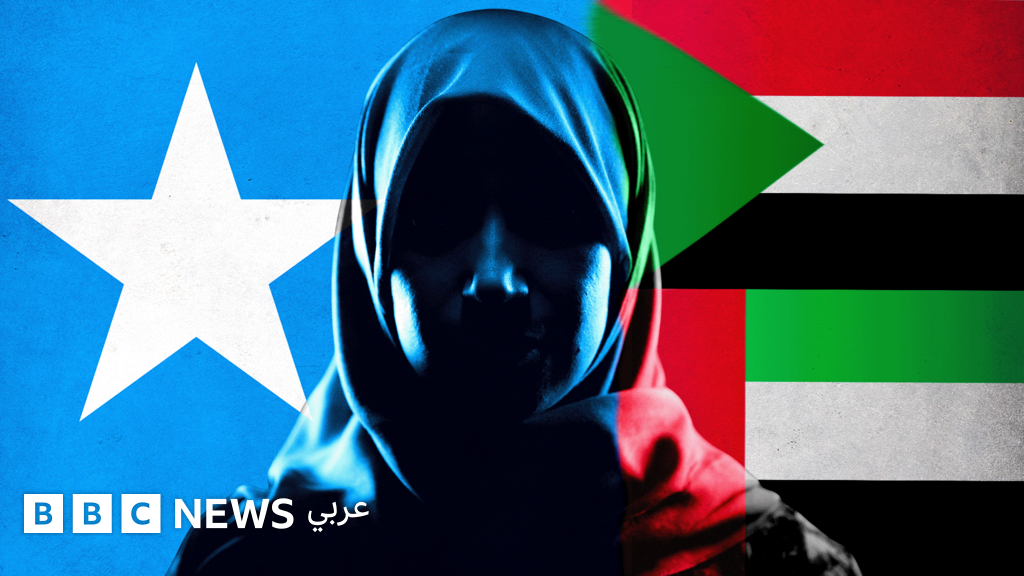 سرقة صور نساء صوماليات واستغلالها للترويج لدعاية سياسية