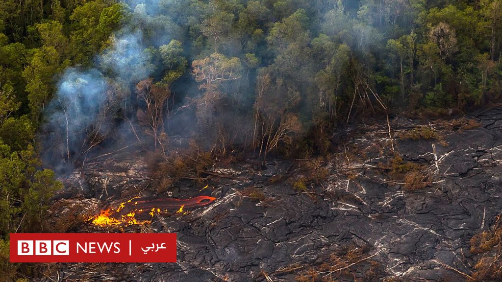 Wildfires in Hawaii kill dozens every day