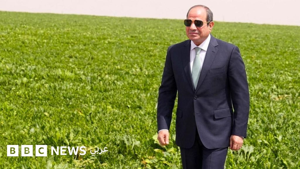 مشروع الدلتا الجديدة في مصر: لماذا قد لا يحقق الاكتفاء الذاتي الزراعي؟ - BBC News عربي