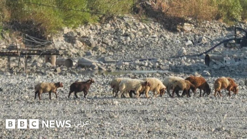 أسوأ جفاف تشهده سوريا منذ عقود يدفع الملايين إلى حافة الهاوية