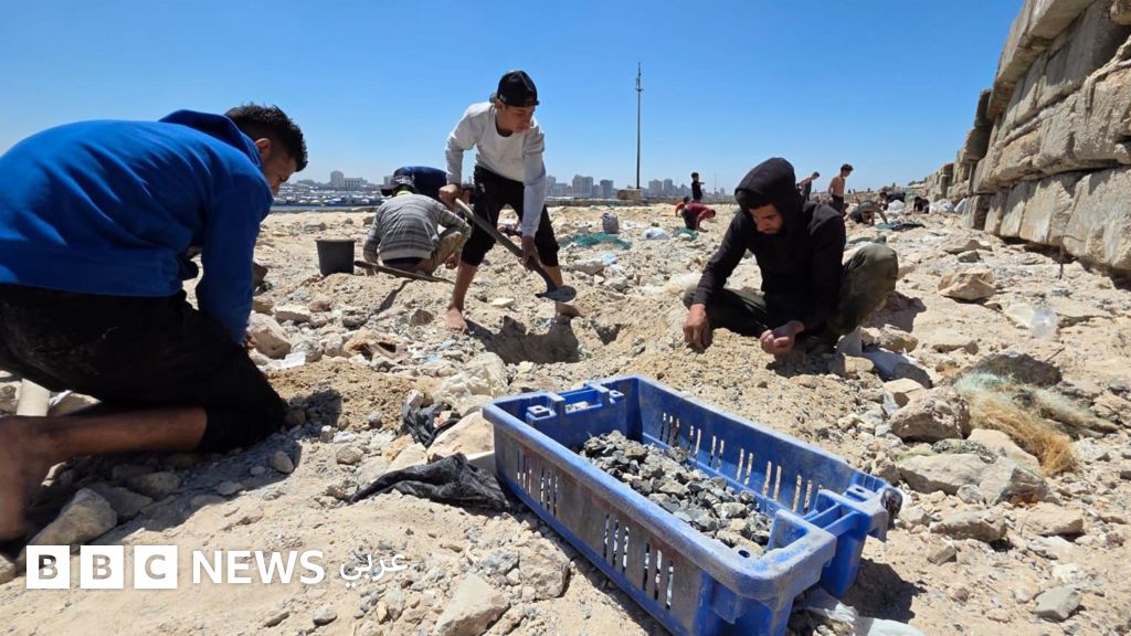 بديل من قاع الميناء: حيلة أهل غزة لمواجهة نقص الإسمنت - BBC News عربي