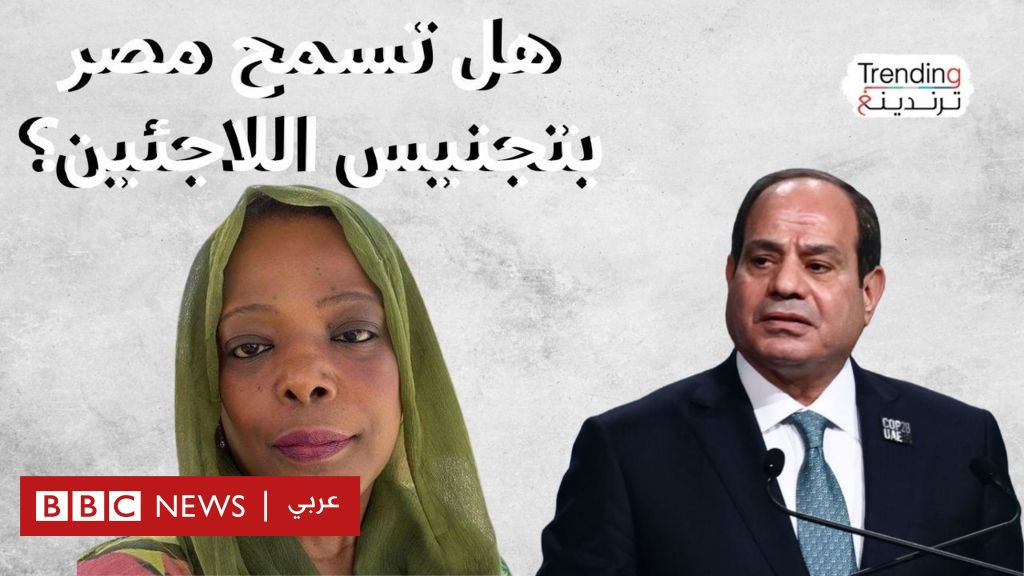 قانون جديد لتنظيم اللجوء في مصر.. ما الذي ورد في بنوده؟