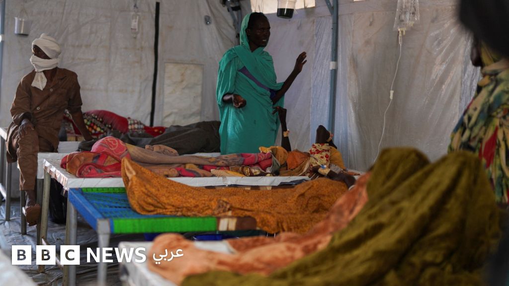 الفاشر: آلاف العائلات تواجه خطر المجاعة في المدينة، وتقارير عن ”تفشٍ كبير” للكوليرا غربي البلاد - BBC News عربي