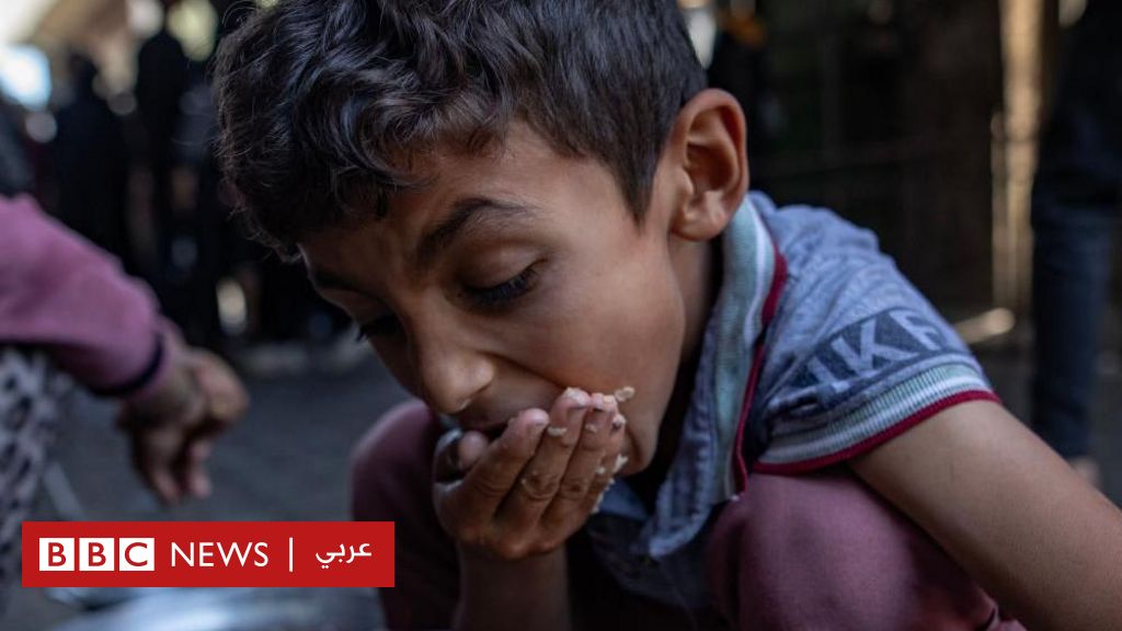 حرب غزة: الفوضى تتفشى في القطاع بينما ينتظر ”السكان اليائسون” وصول الطعام - BBC News عربي