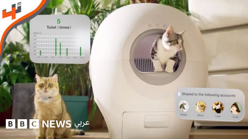 نظام ذكي لنظيف فضلات القطط تلقائيا