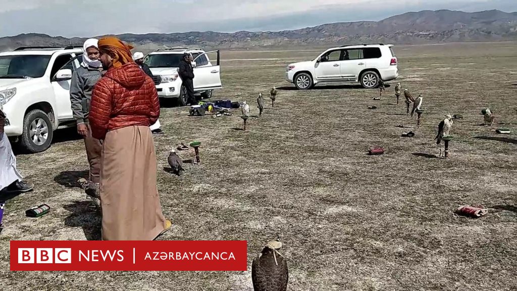 Ərəb turistlərin Azərbaycanda quş ovlaması qəzəb yaradıb - BBC News Azərbaycanca