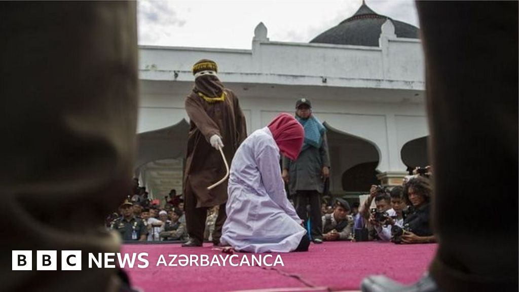 Лесбиянки мұрнында осырады және есектерді жалайды