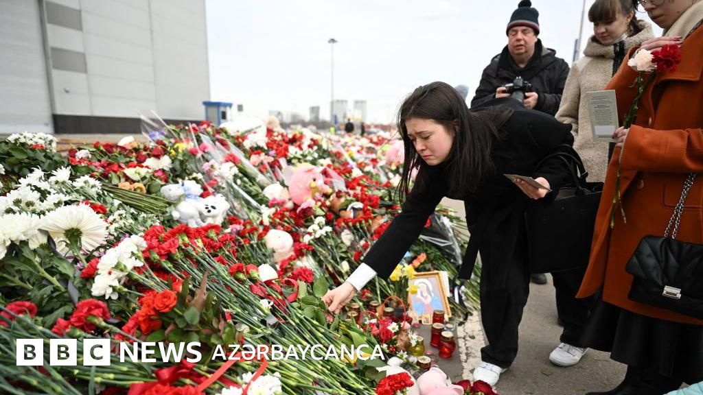 BBW porno kunnilingus