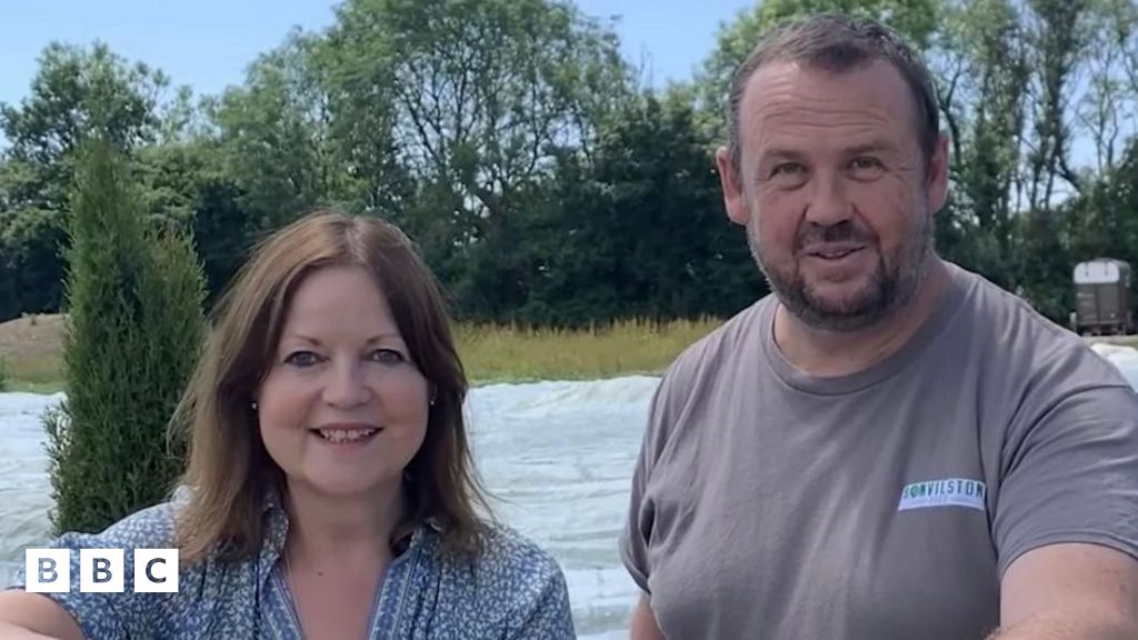Galw am gynyddu nifer y llysiau lleol yn ysgolion Cymru - BBC Cymru Fyw