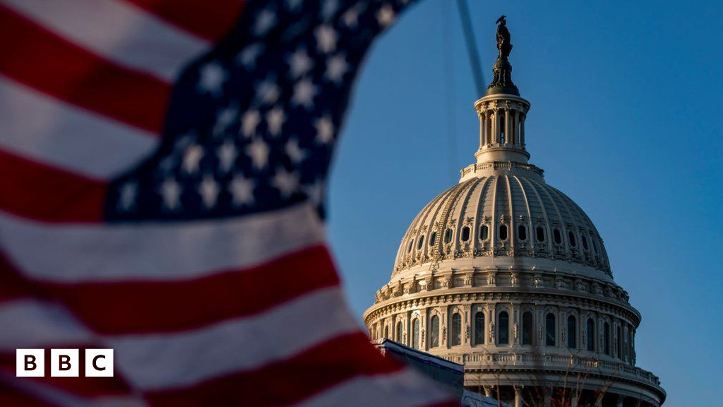 US mid-term elections: What are they and why are they important? - BBC Newsround