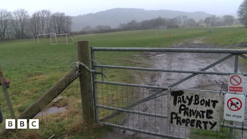 Pryderon am ddyfodol CPD Talybont achos diffyg cae BBC Cymru Fyw