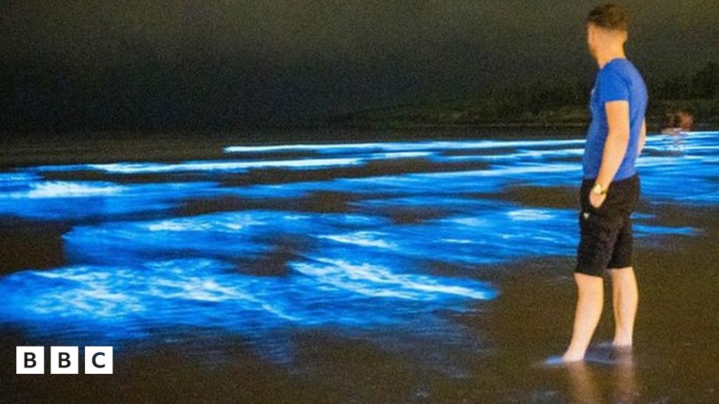 'Sea Sparkle' surprise for beach walkers - BBC Newsround