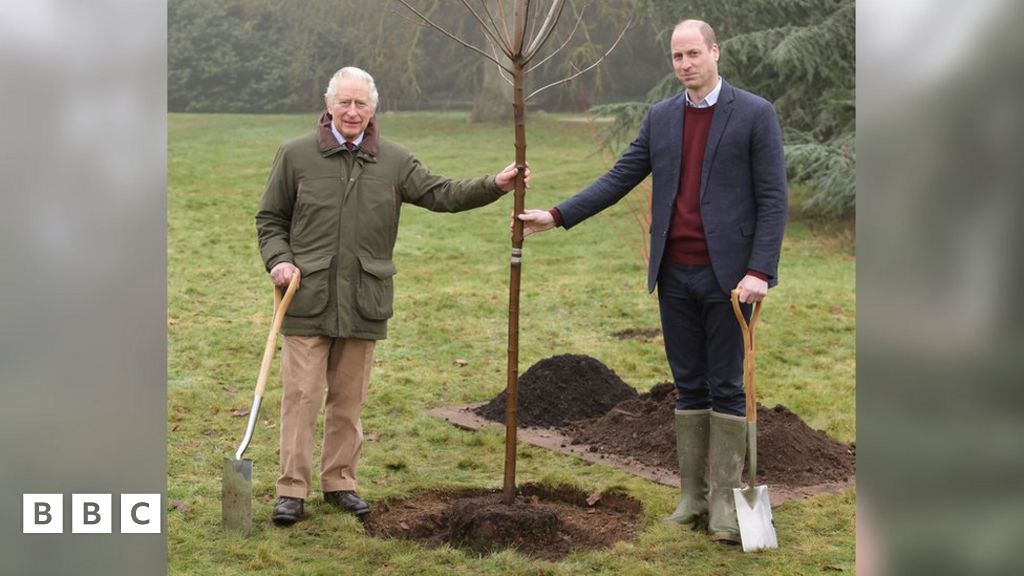 king-charles-thanks-people-who-planted-trees-for-scheme-bbc-newsround