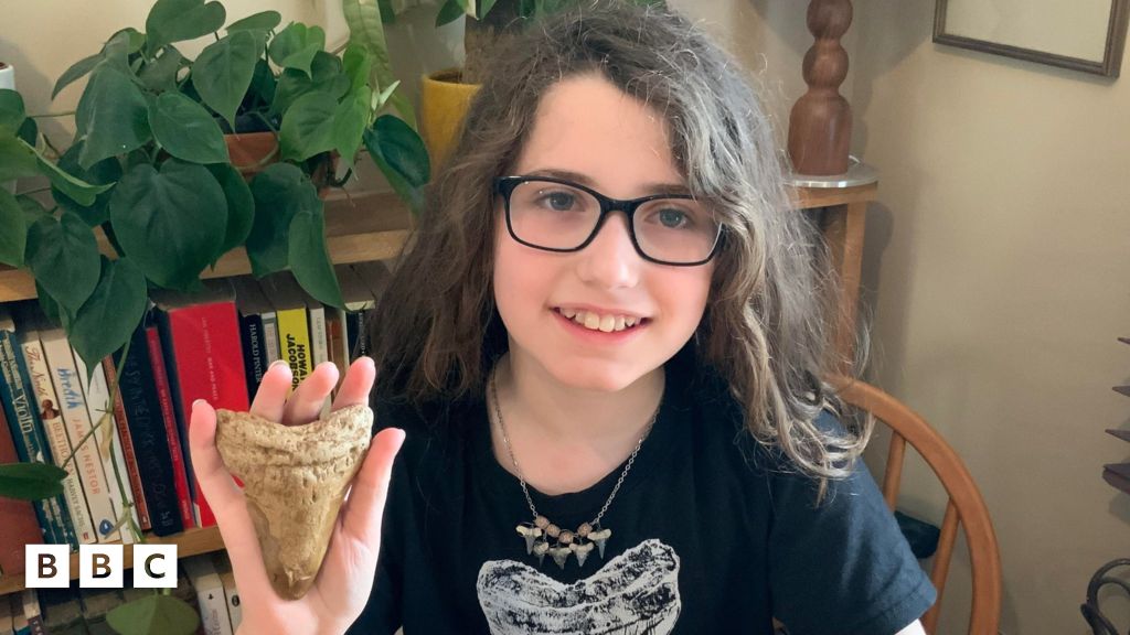 Megalodon: 10-year-old finds ancient tooth fossil on UK beach - BBC ...