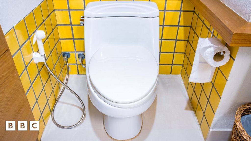 World Toilet Day 2019 Why are toilets so important? BBC Newsround