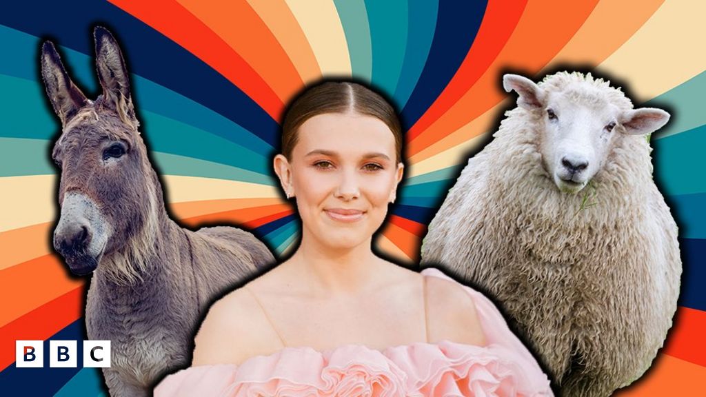 Millie Bobby Brown uses Insta to help dogs find new homes