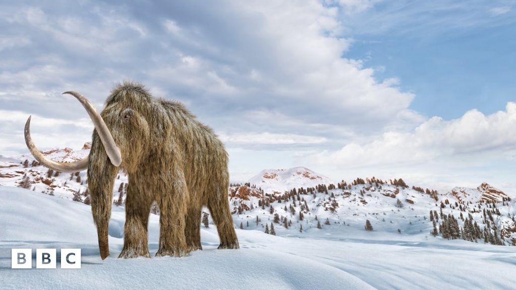 Nature and Wildlife Could woolly mammoths come back from extinction