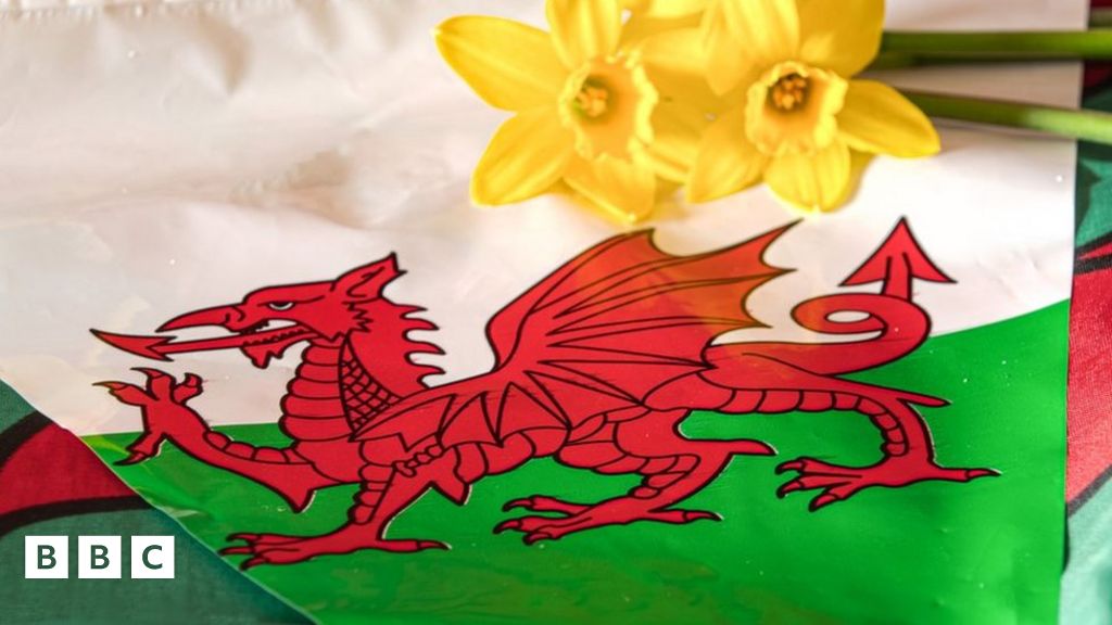 St David's Day 2024 Everything you need to know BBC Newsround